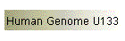 Human Genome U133